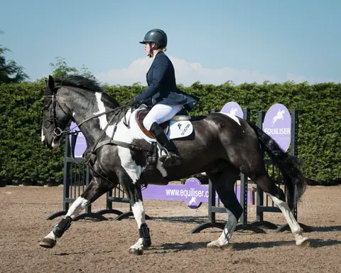 Skewbald horse and rider working past Equiliser branded fences