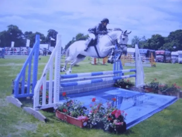 Ferndale Summer Breeze and her Rider Sara Blakey