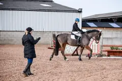 Horse and rider schooling with a coach in an arena