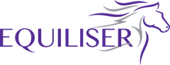 Equiliser