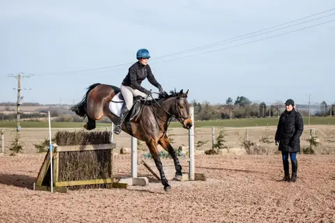 Bay horse jumping a rustic fence in an arena