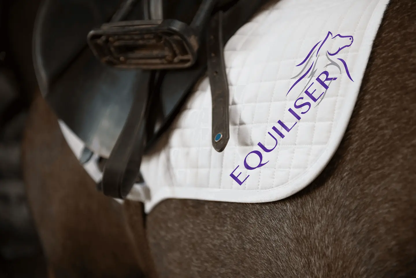 White Equiliser saddle pad on a bay horse
