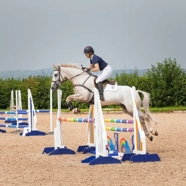 Grey horse and rider clearing a colourful showjump