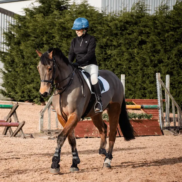 Bay horse and rider walking in a sand arena